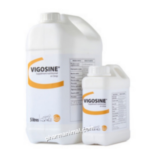 VIGOSINE B/5  LITRES  **